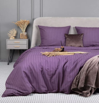 Комплект постельного белья Евростандарт, бязь "Комфорт" (Страйп, фиолетовый)